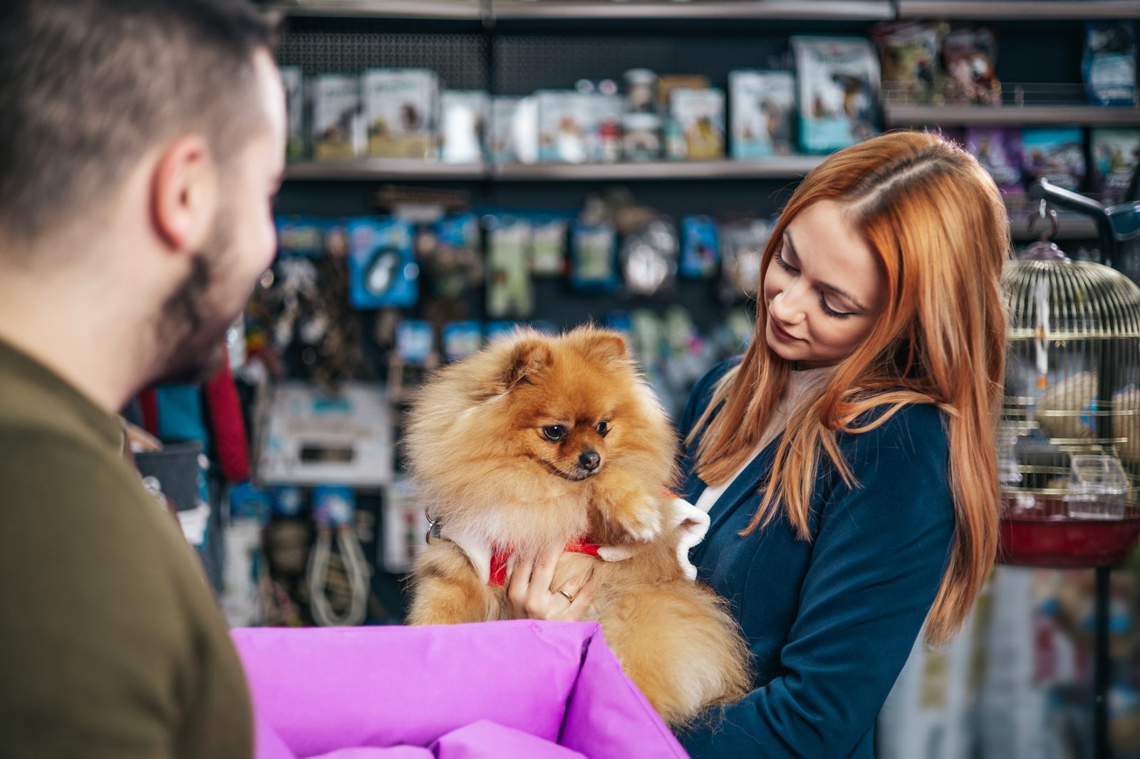Atendimento em petshop com cliente e seu cão